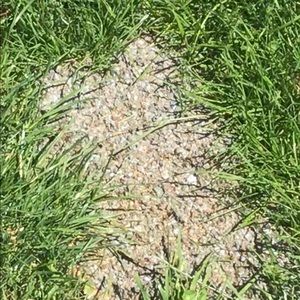 Meet your Posher, Bradley